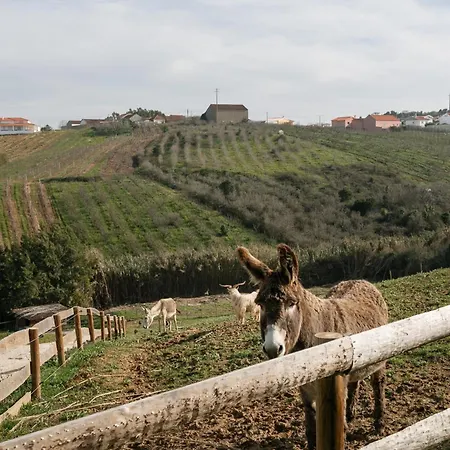 Quinta Dos Castanheiros Holiday home *