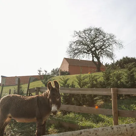 Quinta Dos Castanheiros *