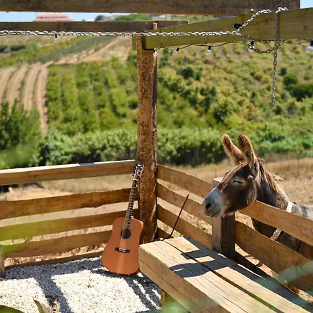 Casa de Férias Quinta Dos Castanheiros *