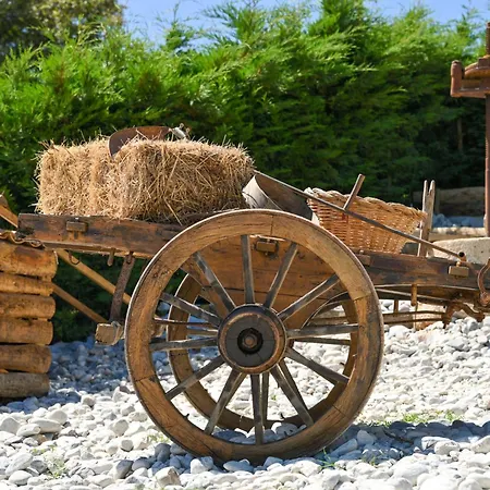Quinta Dos Castanheiros Casa de Férias Usseira