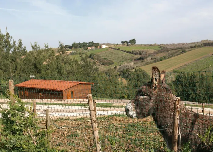 Quinta Dos Castanheiros