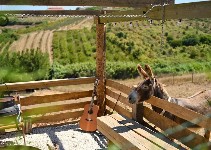 펜션 Quinta Dos Castanheiros *