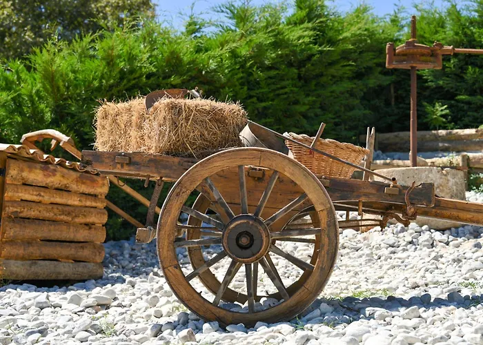 Quinta Dos Castanheiros 펜션 Usseira