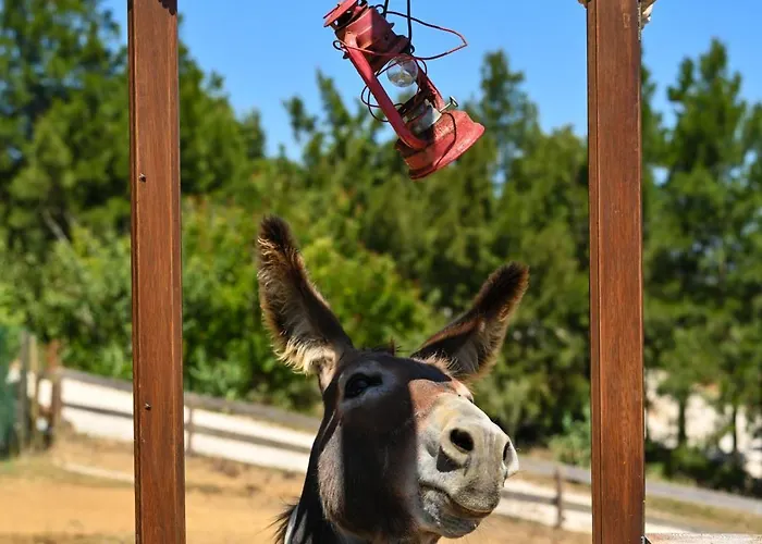 Quinta Dos Castanheiros 펜션